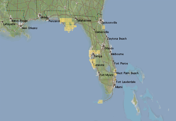 USGS topo maps of Florida for download - mapstor.com