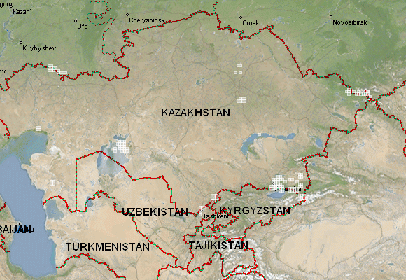 Карта в реальном времени казахстан