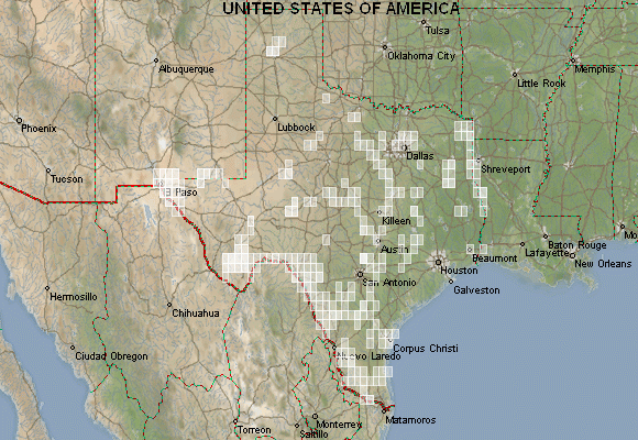 USGS topo maps of Texas for download - mapstor.com