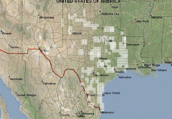 Usgs Topo Maps Of Texas For Download - Mapstor.com