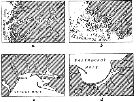 Main shapes of seashores