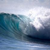 The Googleplex in Mountain View, Calif. hosted a group of selected research experts from various institutions to discuss the elaboration of a 3D oceanographic application, provisionally called Google Ocean, for mapping the underworld