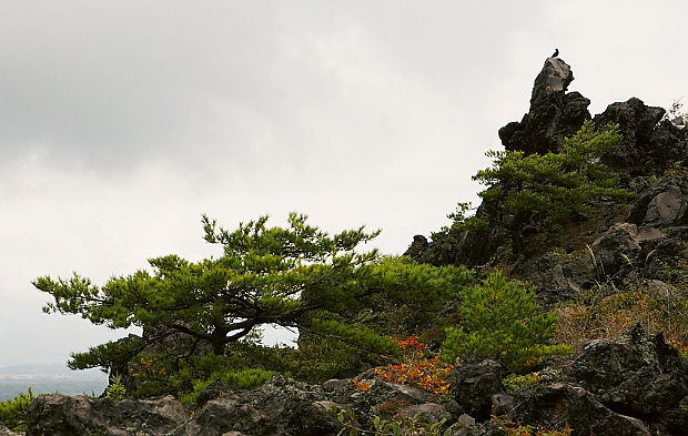 Sights of Japan